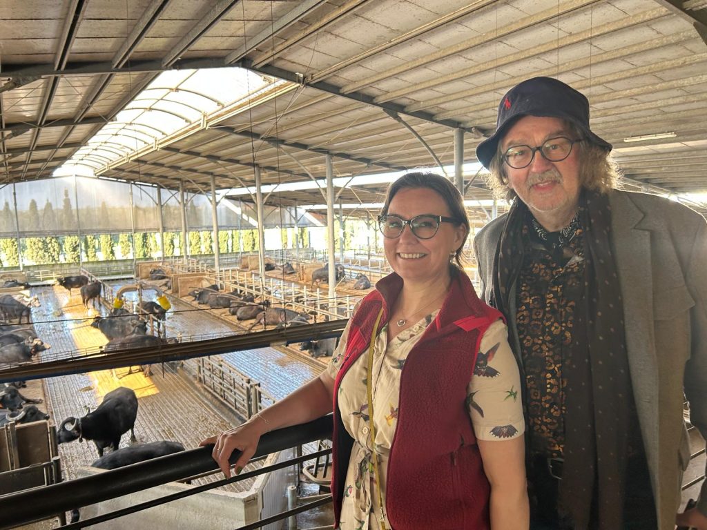 Il Prof. Ove Jakobsen e la Prof.ssa Vivi Marie Lademoe Storsletten visitano l'allevamento bufalino presso la Tenuta Vannulo